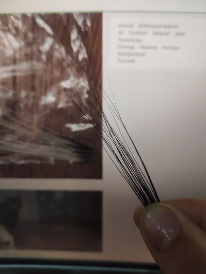 A man put up for sale cat whiskers, and a buyer with specific requests became interested in them