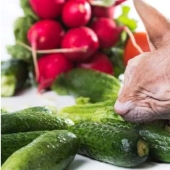 A new environmental trend: Cats and dogs are becoming vegans
