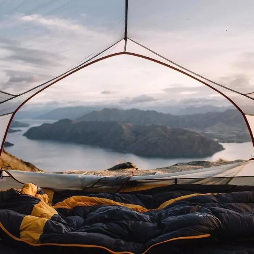 A new trend of wild tourism – tents with transparent walls