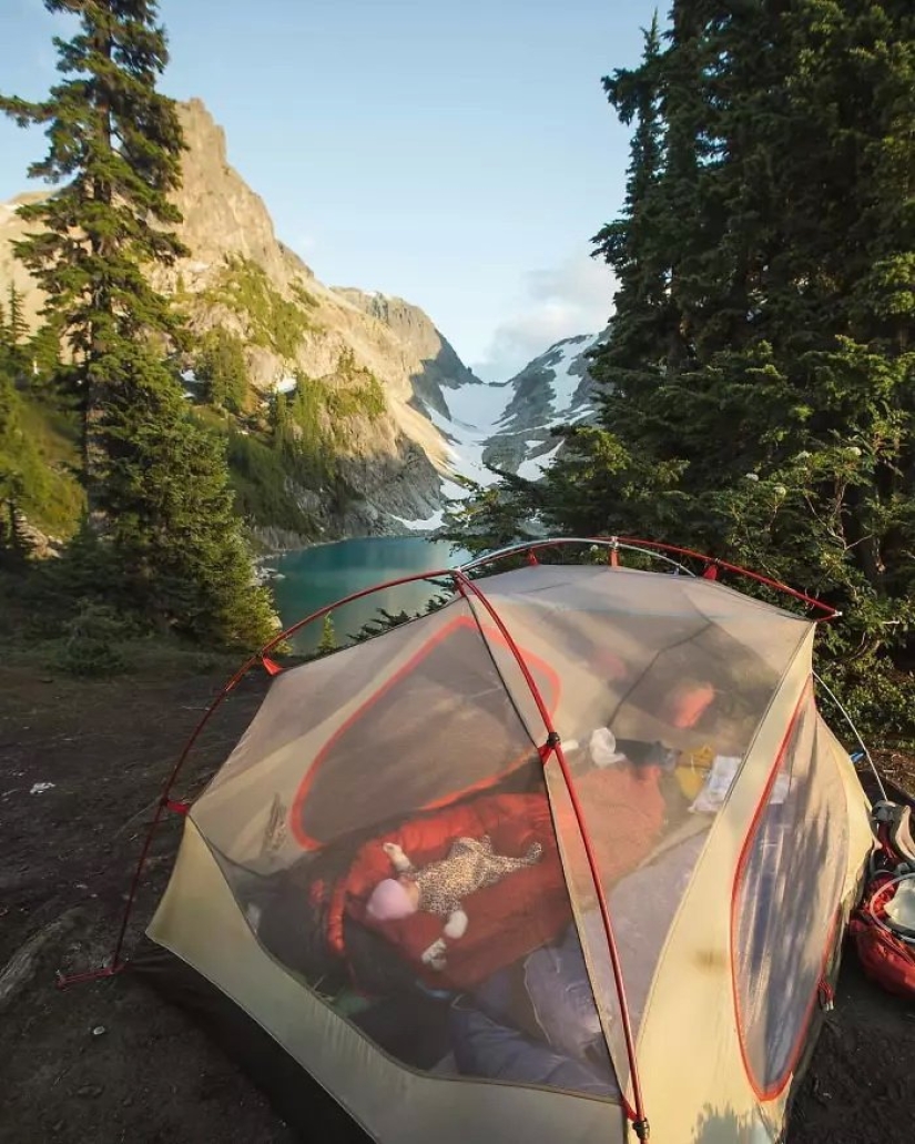 A new trend of wild tourism – tents with transparent walls