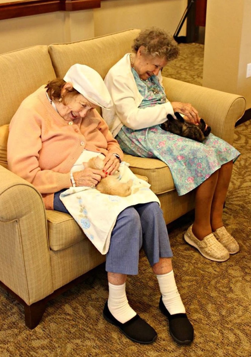 A nursing home where elderly people and abandoned animals are taken care of