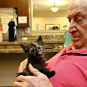 A nursing home where elderly people and abandoned animals are taken care of