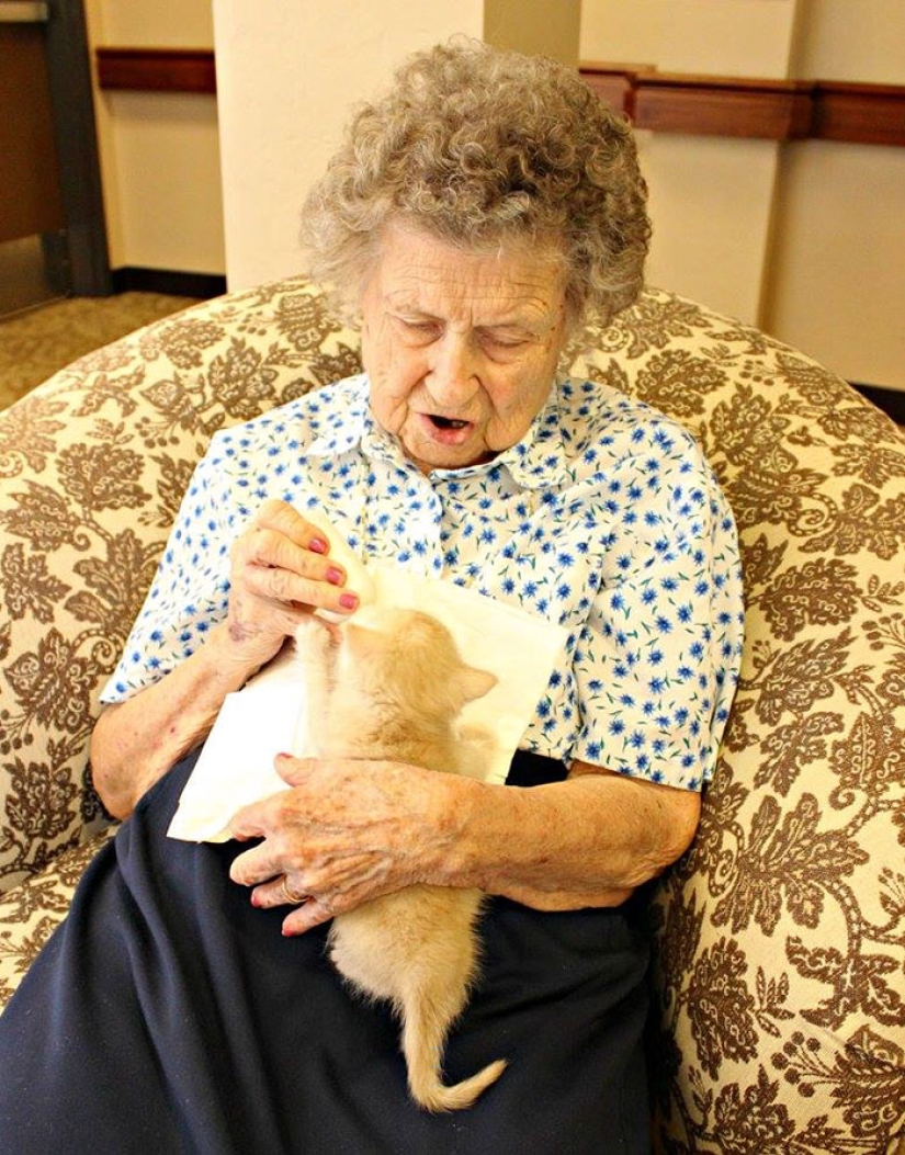 A nursing home where elderly people and abandoned animals are taken care of