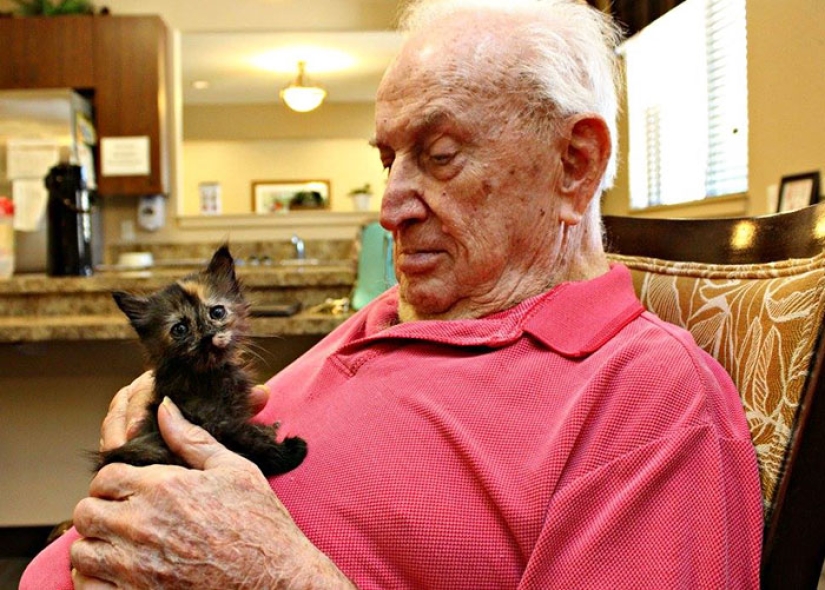 A nursing home where elderly people and abandoned animals are taken care of