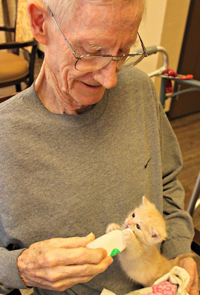 A nursing home where elderly people and abandoned animals are taken care of