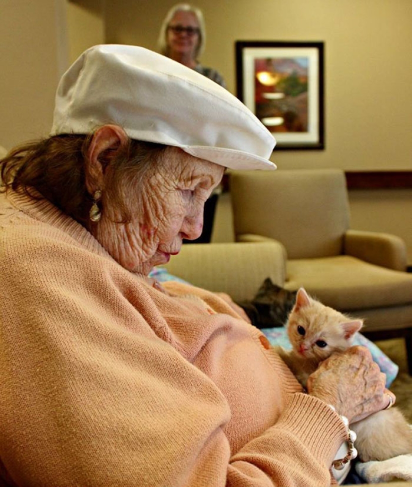 A nursing home where elderly people and abandoned animals are taken care of