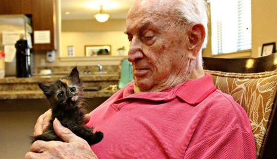 A nursing home where elderly people and abandoned animals are taken care of