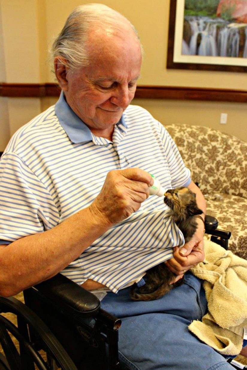 A nursing home where elderly people and abandoned animals are taken care of