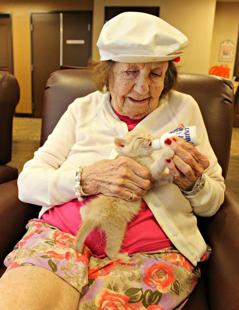 A nursing home where elderly people and abandoned animals are taken care of