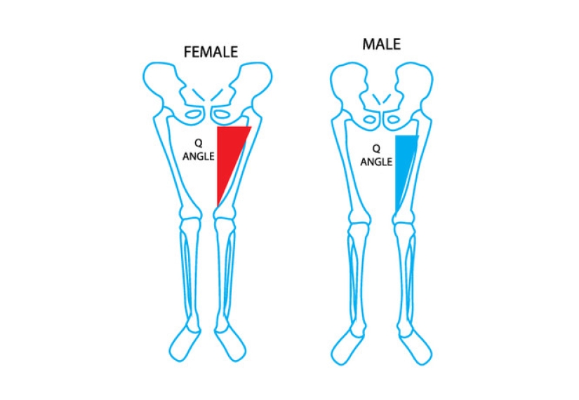 A Reddit user has determined what a typical athlete and porn actress look like