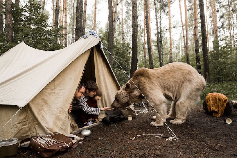 A Russian family befriended a bear in the forest for an anti-hunting campaign