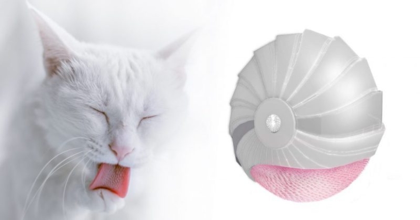 A Russian woman has come up with a mechanical "cat's tongue" that will replace taking a shower or a bath