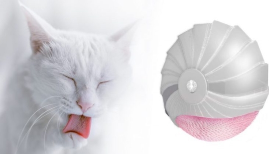 A Russian woman has come up with a mechanical "cat's tongue" that will replace taking a shower or a bath