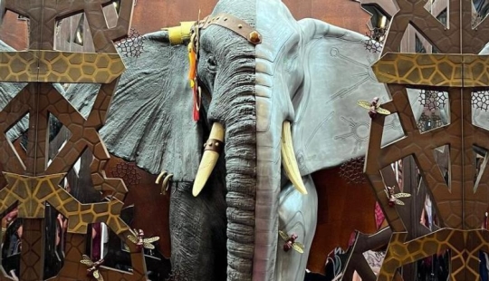 A Spaniard with an elephant won the chocolate masters competition