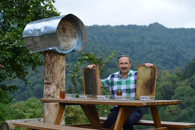 A Turkish farmer has attracted bears thieves to tasting honey and not lost