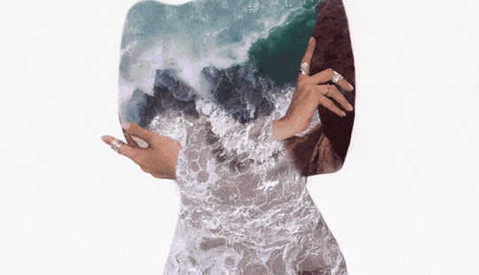 A whole sea inside: beautiful GIFs showing the richness of the microcosm