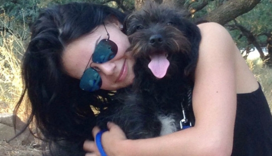 A woman took a stray dog from Crete, which saved her during her vacation
