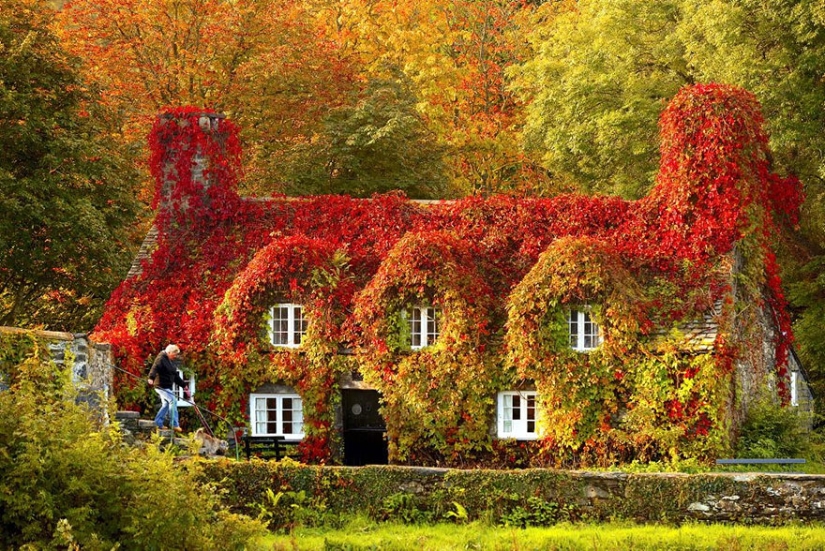 A wonderful dozen amazingly beautiful autumn transformations