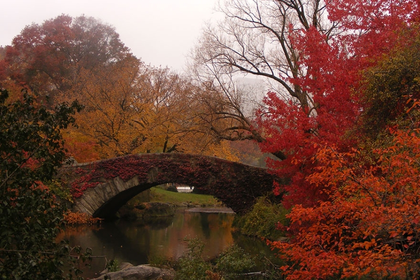 A wonderful dozen amazingly beautiful autumn transformations