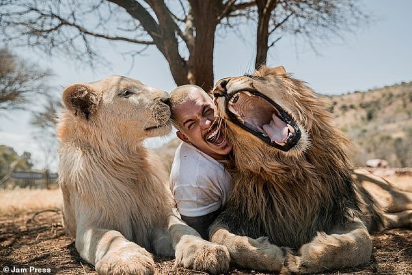 Embracing the Lions: Dean Schneider, the Swiss financier who gave up everything and went to Africa - Pictolic