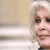 "Actresses tease producers themselves": Brigitte Bardot spoke about harassment