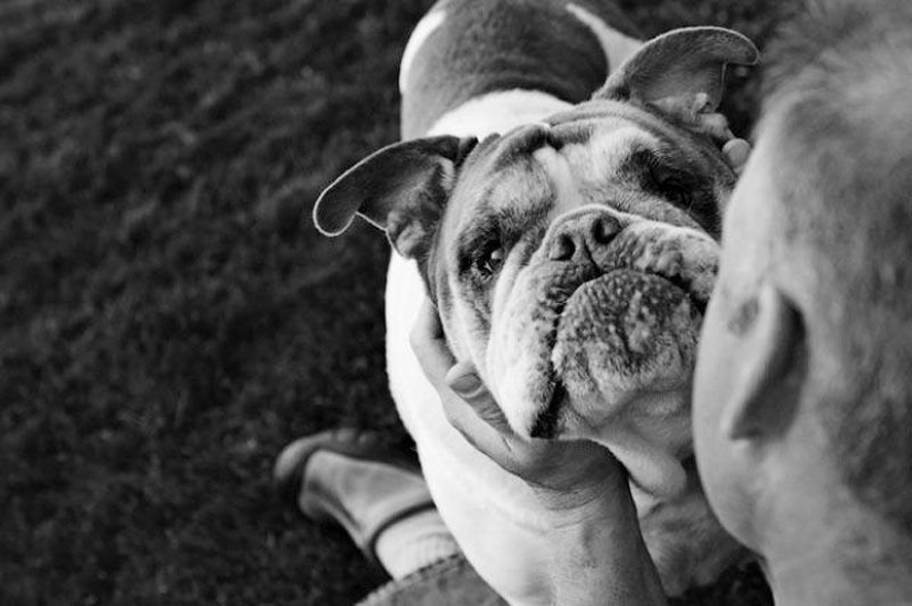 Adiós para siempre: el fotógrafo captura el último momento de amor entre el dueño y el perro antes de la eutanasia