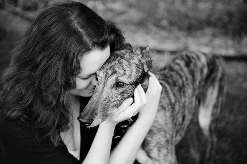 Adiós para siempre: el fotógrafo captura el último momento de amor entre el dueño y el perro antes de la eutanasia