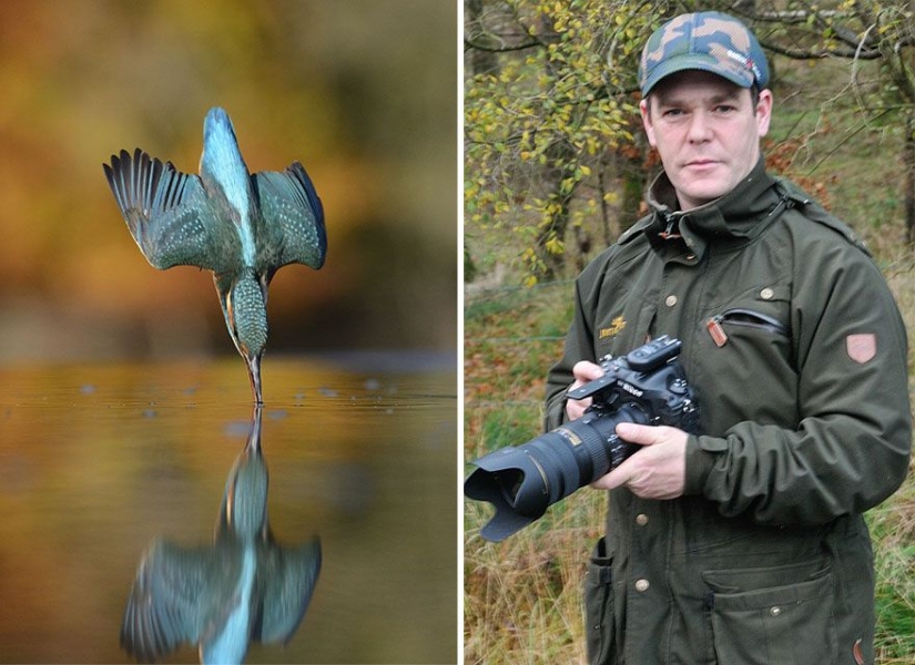 After 6 years and 720 thousand attempts, the photographer took the perfect picture of the kingfisher