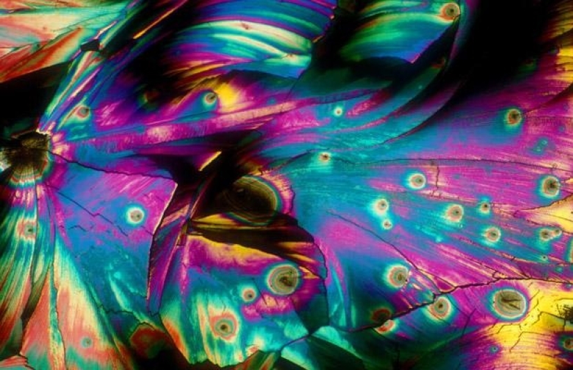 Alcohol under the microscope