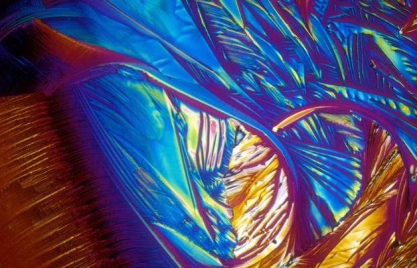 Alcohol under the microscope