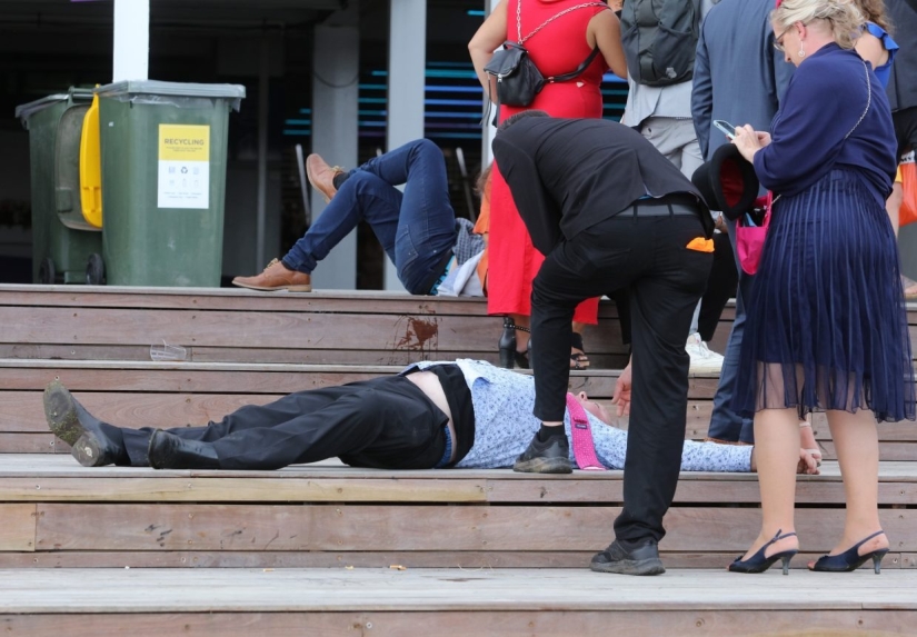 Alcoholic Race: Drunken collapse at the annual Melbourne Horse Race
