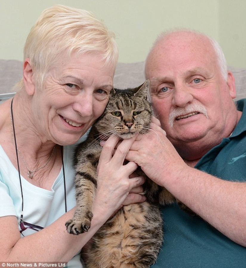 All 9 lives lived: the oldest cat on the planet died at the age of 32