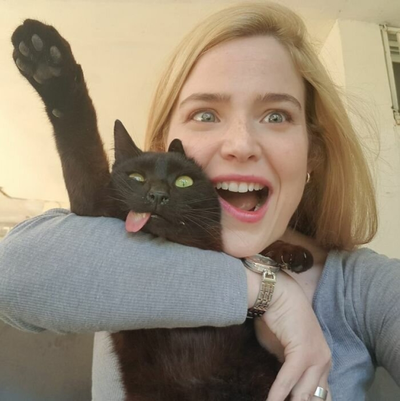 Amor esponjoso: cómo el gato rescatado Tzimes con la lengua colgando encontró una familia