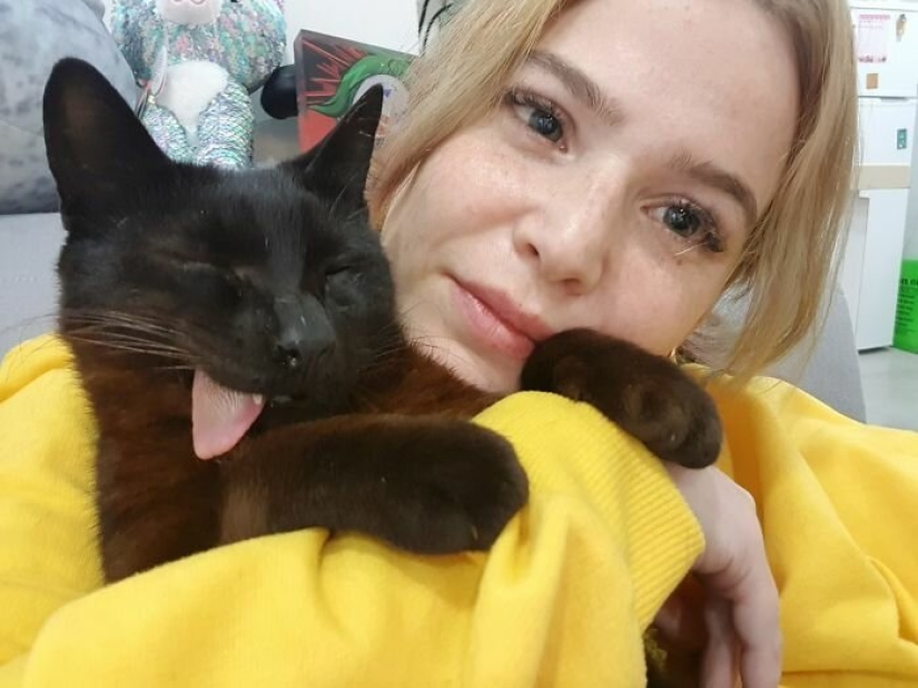 Amor esponjoso: cómo el gato rescatado Tzimes con la lengua colgando encontró una familia