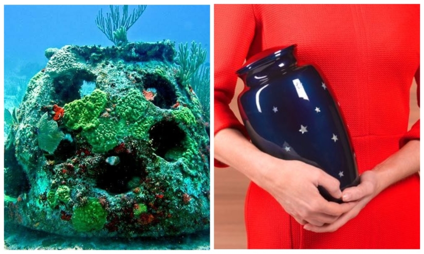 An American funeral services firm offers to turn the ashes of the dead into coral reefs