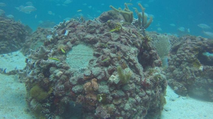 An American funeral services firm offers to turn the ashes of the dead into coral reefs