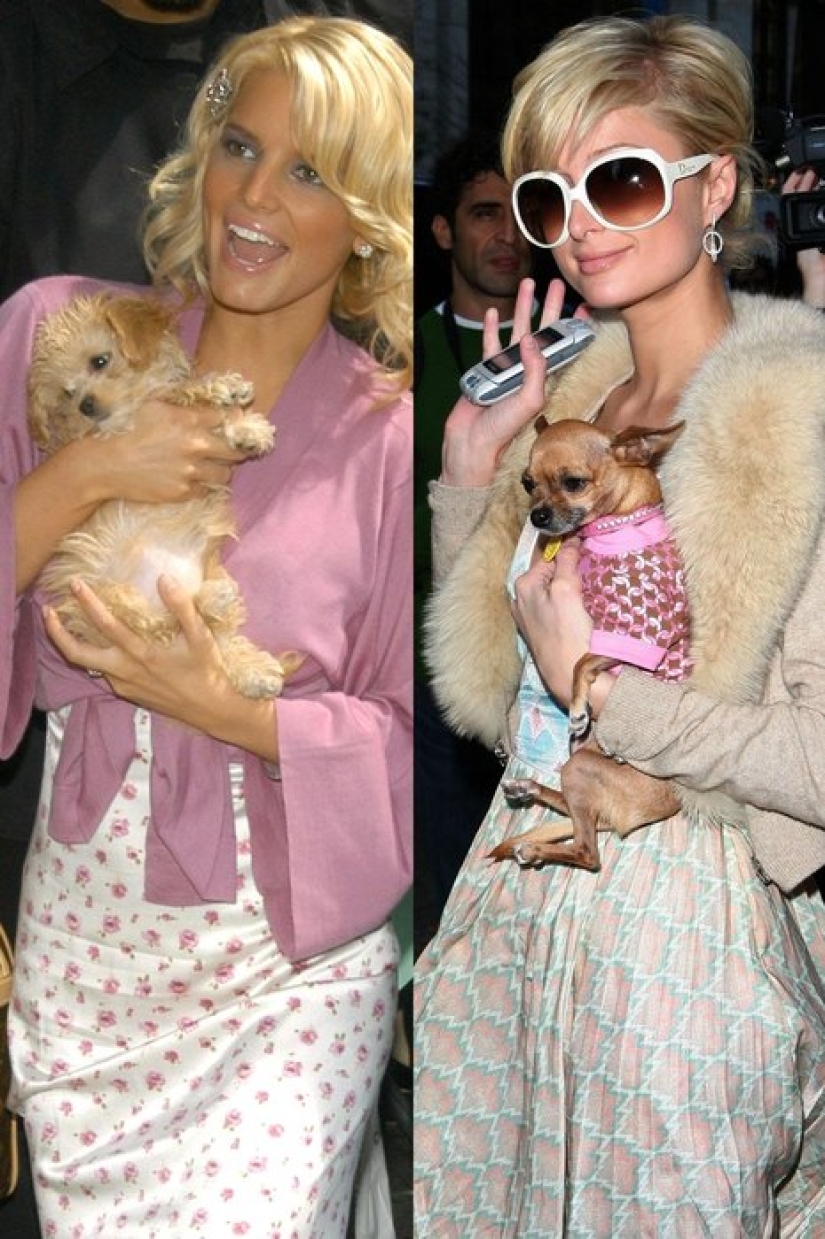 An excursion into the terrible trends of the past: from a "limping" skirt to a dog accessory