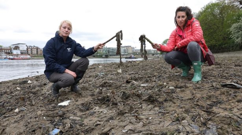 An island of wet wipes has appeared in London