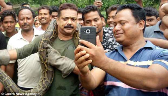 An ungrateful creature: a 10-meter python almost strangled its savior