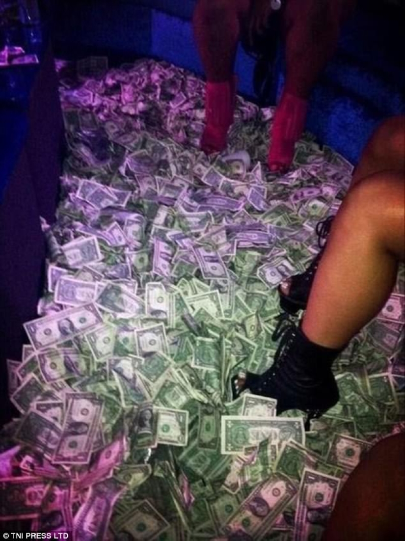 "And why was it necessary to study at the university": the network is perplexed by photos of strippers bathing in money