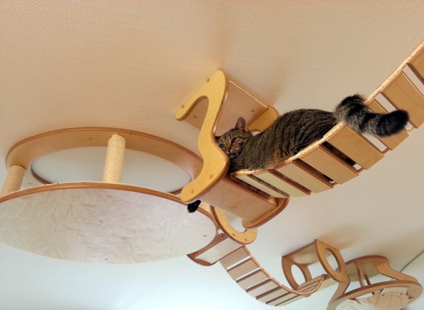 And you play, play, play, play: playgrounds for cats