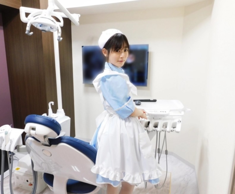 Anime maids work in one of the Tokyo dentists