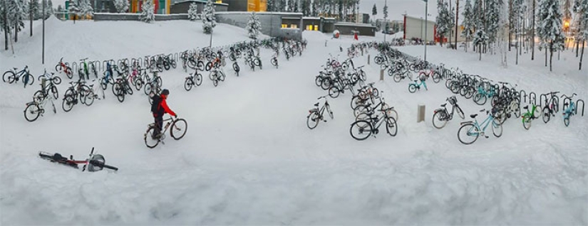 Antifreeze in the blood: Finnish children ride bicycles to school at a temperature of — 17C