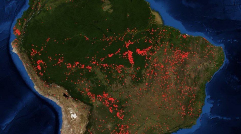 Ash rain and eclipse: Brazil is drowning in smoke due to fires in the Amazon forests