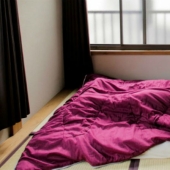 At least the ball is rolling: painfully empty apartments of Japanese minimalists