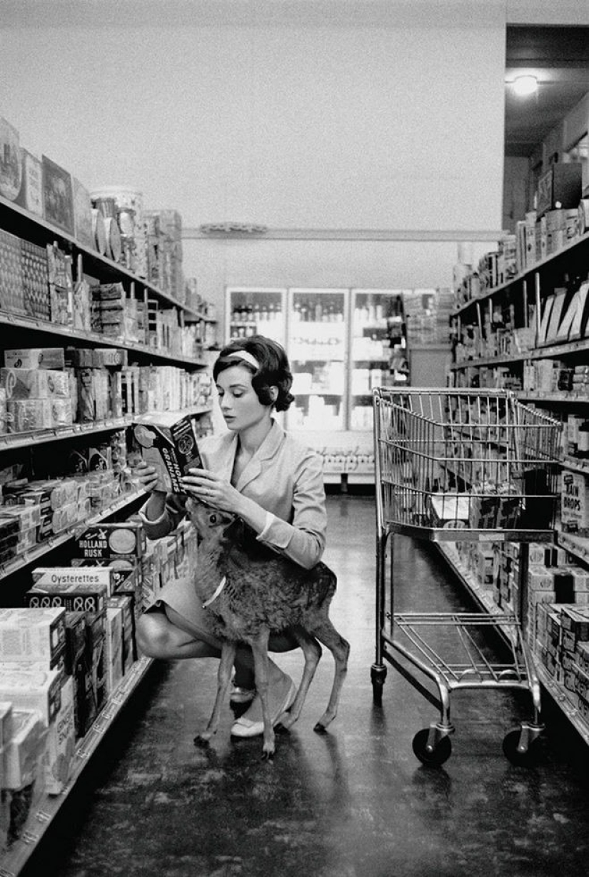 Audrey Hepburn y su cervatillo llamado Pippin