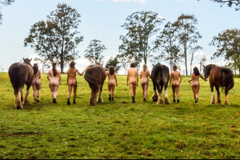 Australian veterinary students stripped to fight suicide
