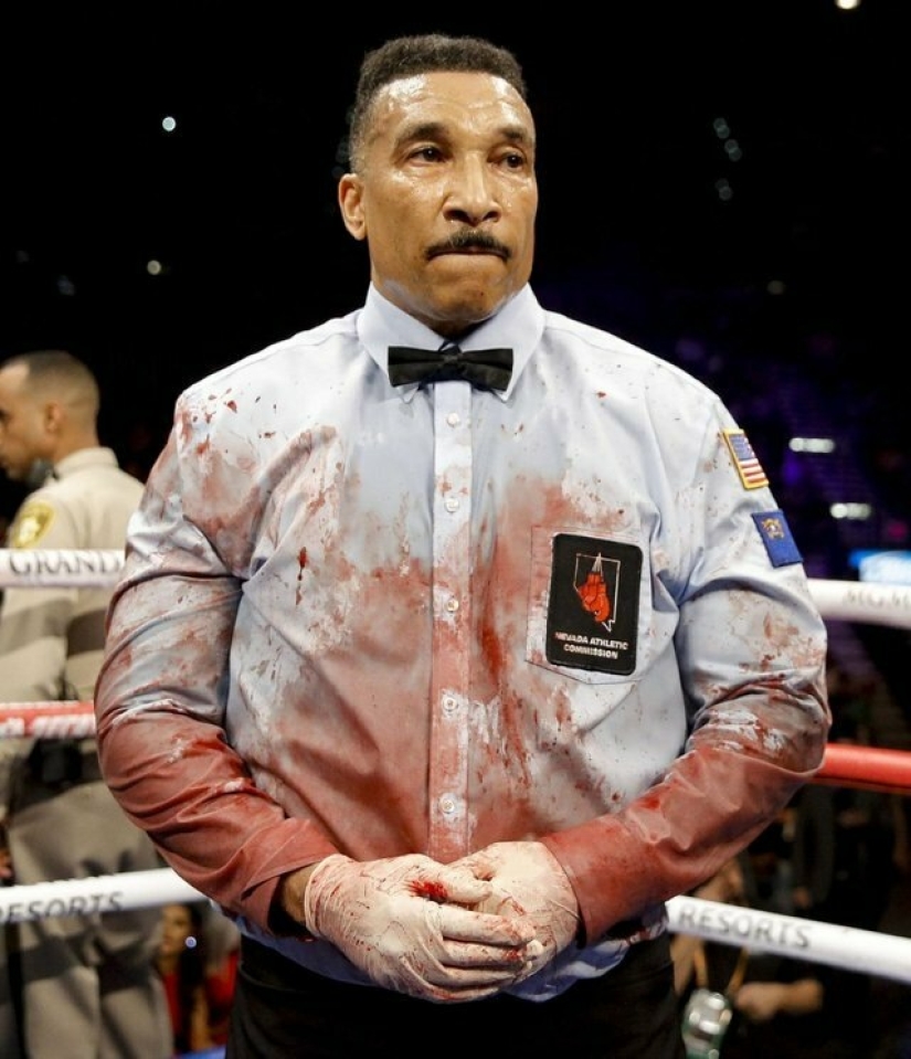 Batalla de photoshop: el juez después del" sangriento " combate de boxeo