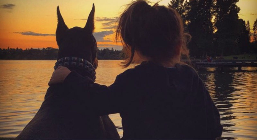 Beauty and the Beast: the amazing friendship of a tiny girl with a giant Doberman