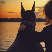 Beauty and the Beast: the amazing friendship of a tiny girl with a giant Doberman